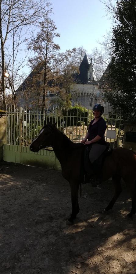 Chambre D'Hote En Vallee Du Loir - Elevage Des Rosiers Bazouges-sur-le-Loir Buitenkant foto