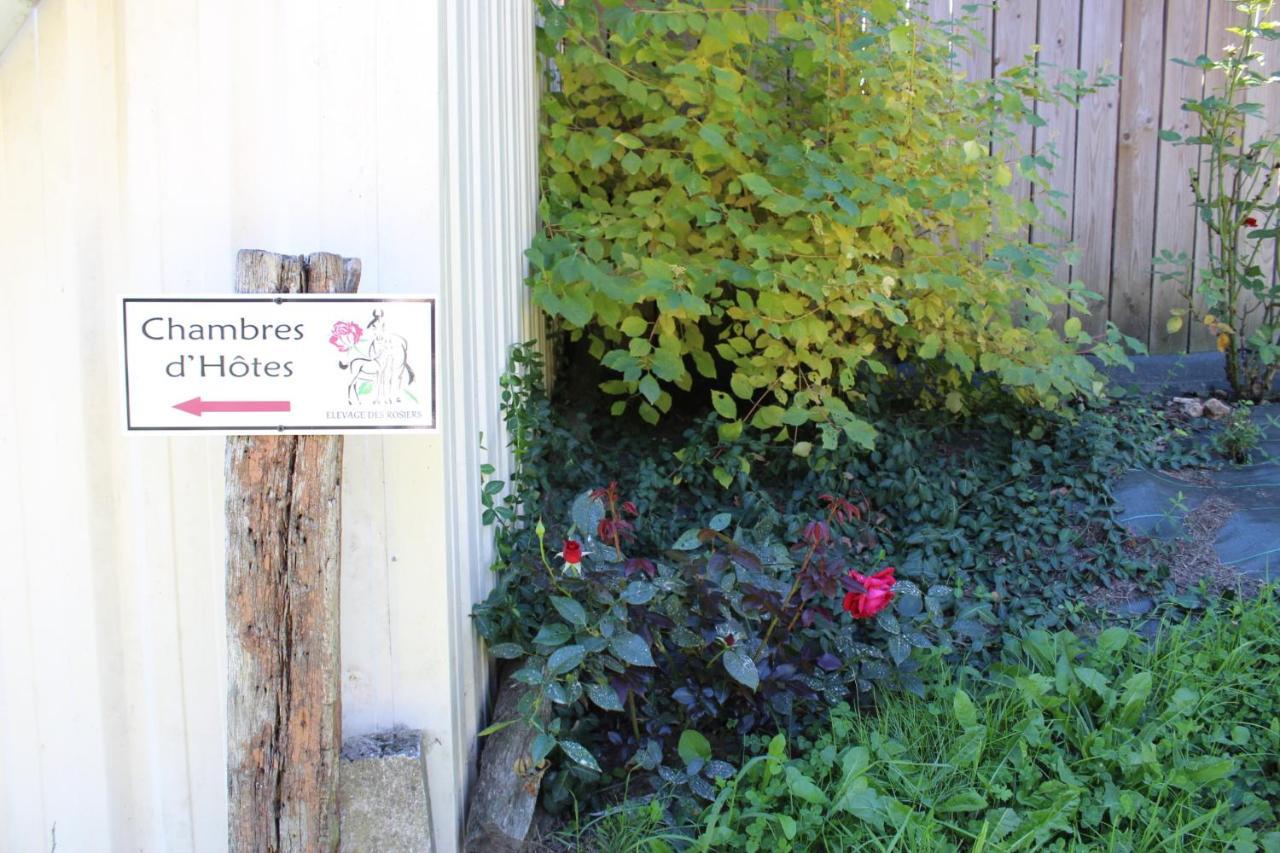 Chambre D'Hote En Vallee Du Loir - Elevage Des Rosiers Bazouges-sur-le-Loir Buitenkant foto