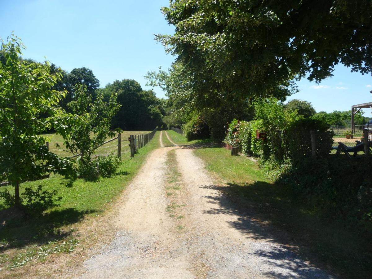 Chambre D'Hote En Vallee Du Loir - Elevage Des Rosiers Bazouges-sur-le-Loir Buitenkant foto